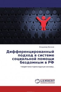 Книга Дифференцированный подход в системе социальной помощи бездомным в РФ