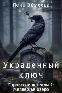 Книга Украденный ключ