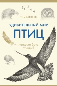 Книга Удивительный мир птиц: Легко ли быть птицей?