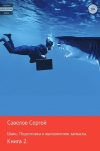 Книга Шанс. Подготовка к исполнению замысла. Книга 2