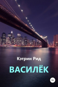 Книга Василёк