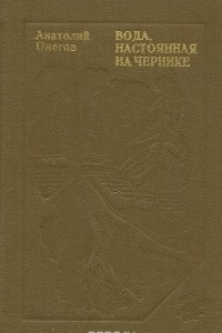 Книга Вода, настоянная на чернике