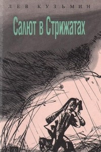 Книга Салют в Стрижатах