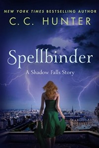 Книга Spellbinder