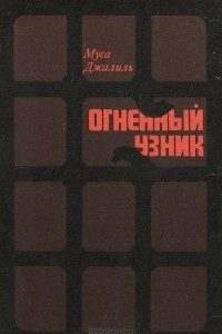 Книга Огненный узник