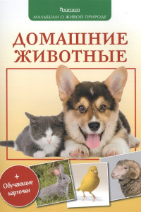 Книга Домашние животные