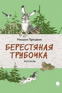 Книга Берестяная трубочка