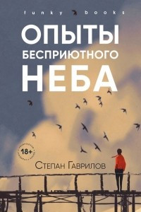 Книга Опыты бесприютного неба