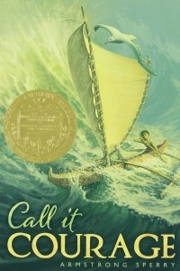 Книга Call it Courage