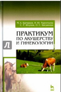 Книга Практикум по акушерству и гинекологии. Учебное пособие