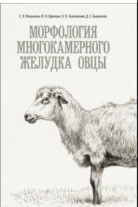 Книга Морфология многокамерного желудка овцы. Монография