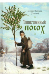 Книга Таинственный посох