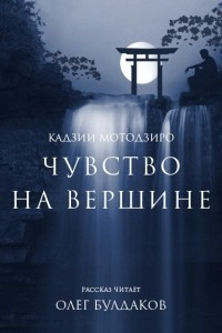 Книга Чувство на вершине