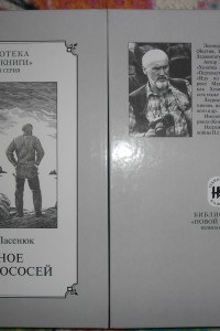 Книга Бурное время лососей