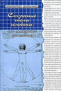 Книга Строение тела человека: от макушки до пяток