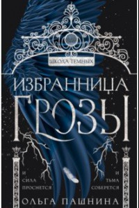 Книга Школа темных. Избранница грозы