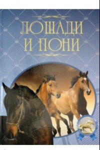 Книга Лошади и пони. Иллюстрированная энциклопедия