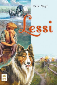 Книга Lessi