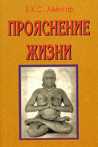 Книга Прояснение жизни