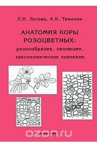 Книга Анатомия коры розоцветных. Разнообразие, эволюция, таксономическое значение