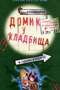 Книга Домик у кладбища