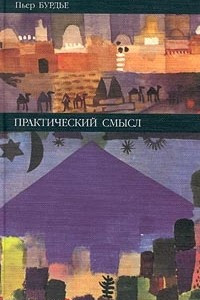 Книга Практический смысл