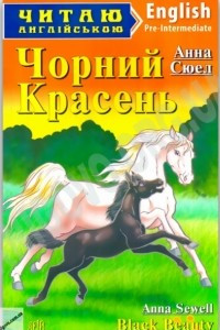 Книга Чорний красень