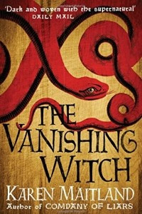 Книга The Vanishing Witch