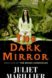 Книга The Dark Mirror