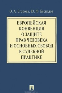 Книга Европейская конвенция о защите прав человека и основных свобод в судебной практике