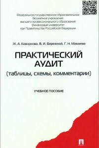 Книга Практический аудит. Таблицы, схемы, комментарии. Учебное пособие