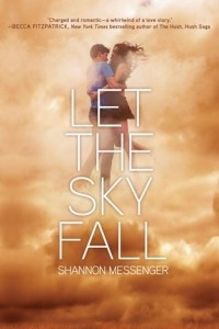 Книга Let the Sky Fall