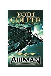 Книга Airman
