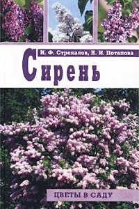 Книга Сирень