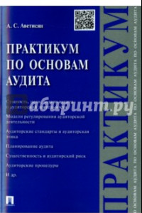 Книга Практикум по основам аудита. Учебное пособие