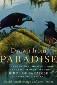 Книга Drawn from Paradise: The Natural History, Art and Discovery of the Birds of Paradise with Rare Archival Art