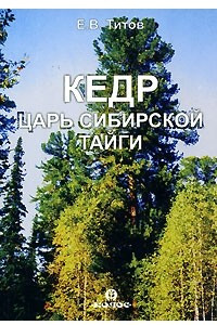 Книга Кедр. Царь сибирской тайги