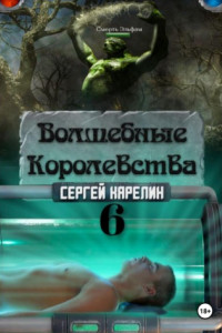 Книга Волшебные королевства 6