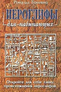 Книга Иероглифы для начинающих