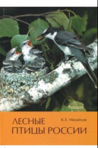 Книга Лесные птицы России