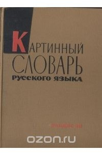 Книга Картинный словарь русского языка