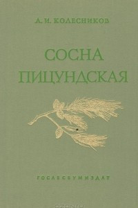 Книга Сосна пицундская и близкие к ней виды