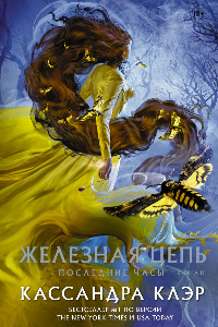 Книга Железная цепь