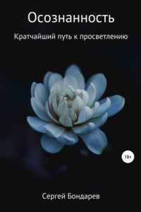 Книга Осознанность. Кратчайший путь к просветлению