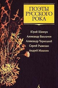 Книга Поэты русского рока: Юрий Шевчук, Александр Башлачев, Александр Чернецкий, Сергей Рыженко, Андрей Машнин