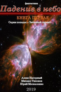 Книга Падение в небо