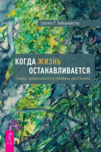 Книга Когда жизнь останавливается. Травма, привязанность и семейная расстановка