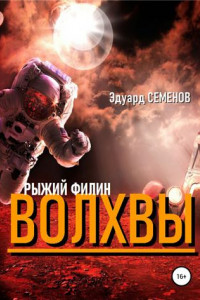 Книга Волхвы. Рыжий филин