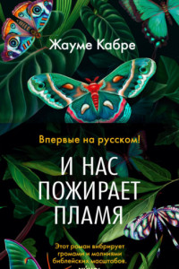 Книга И нас пожирает пламя