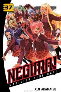 Книга Negima! 37